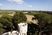 Château Les Carrasses