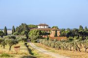 L'Andana Tenuta La Badiola